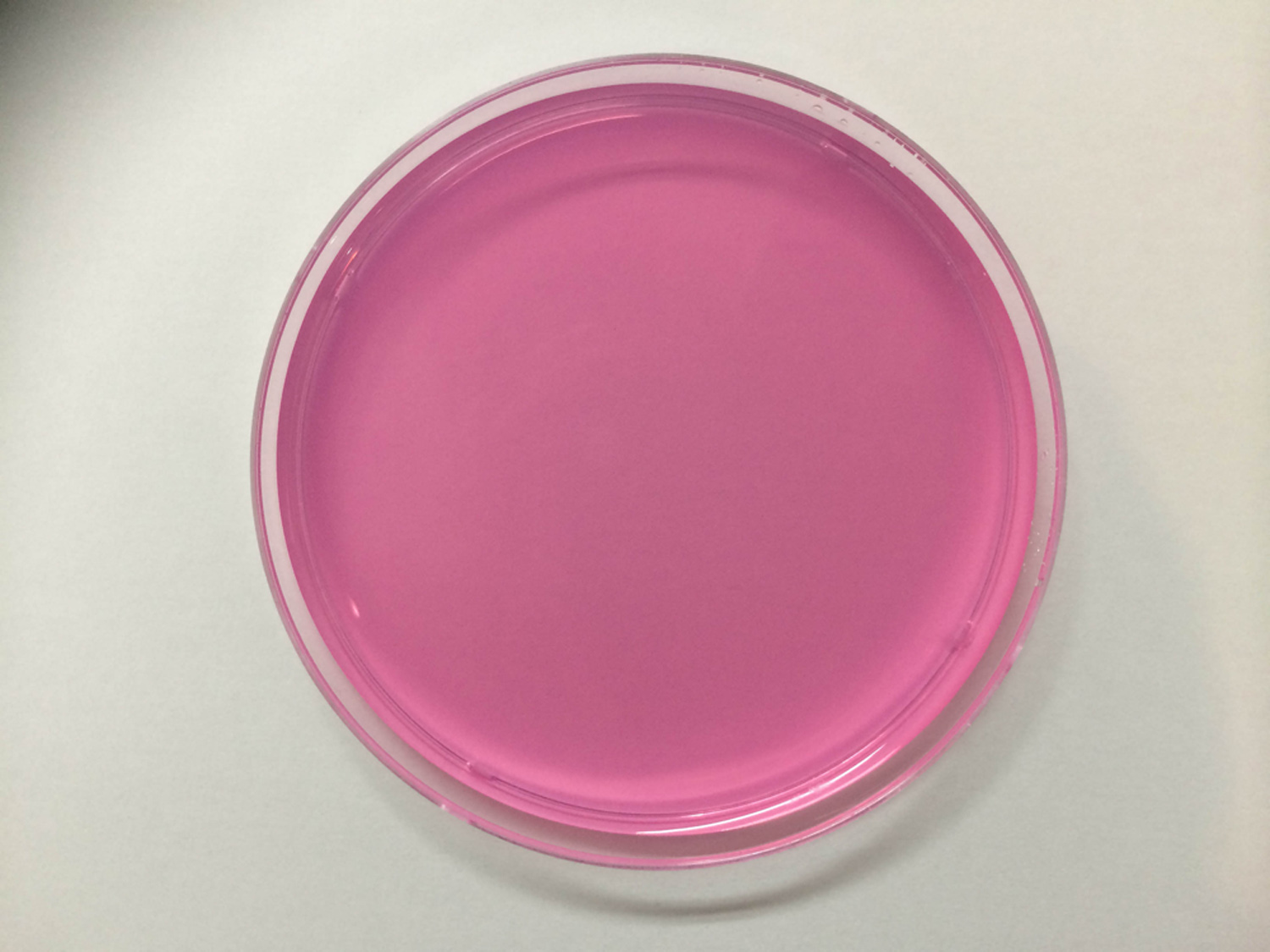 Sabouraud Dextrose (SD) Agar With Chloramphenicol 0.05 g/L (pink) / MB-S0829P-P50