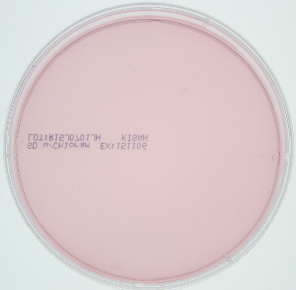 Saboraud Dextrose (SD) Agar (pink) / MB-S1528-P50