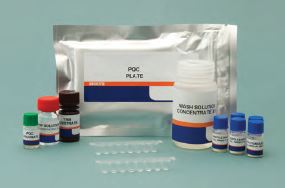 BioKits Soya Protein Assay Kit (96 Wells)