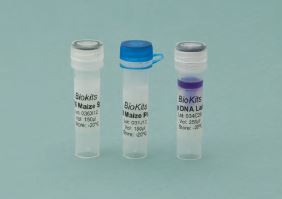 BioKits PCR Bt-176 Maize & Invertase Mastermix Pod (100 Tests)