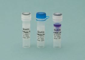 BioKits PCR CaMV 35S & Invertase Mastermix Pod (100 Tests)