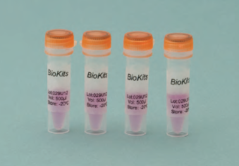 BioKits PCR Trout Pod (Onchorynchus mykiss) FAST Test Kits
