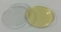 Nutrient Agar / MB-N1036K-P50