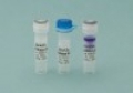BioKits PCR CaMV 35S & Invertase Mastermix Pod (100 Tests)