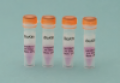 BioKits PCR Coley Pod (Pollachius virens)