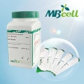 mEI (membrane Enterococcus Indoxyl-β-D-Glucoside)Agar