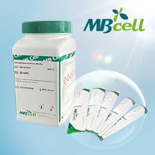 mTGE (membrane Tryptone Glucose Extract) Broth