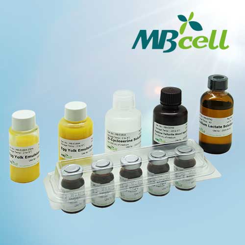Potassium Hydroxide (0.1M)