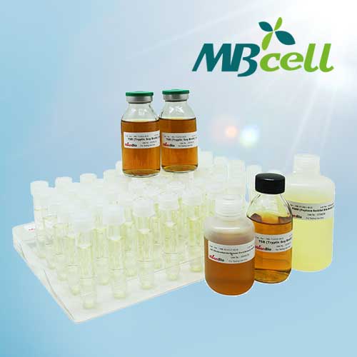 BS (Bifidobacterium Selective) Broth / MB-B0708-T50