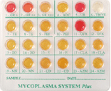 Mycoplasma System Plus