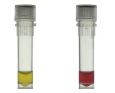 Salicin Test