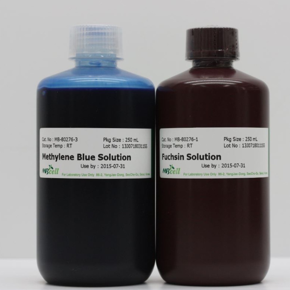 Lugol PVP Solution (Gram staining)