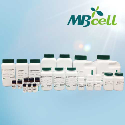 Murashige & Skoog Modified Medium (w/Vitamins) (M4538)