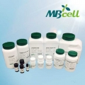 Hygromycin B, powder