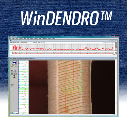 WinDENDRO (annual meter scan method)