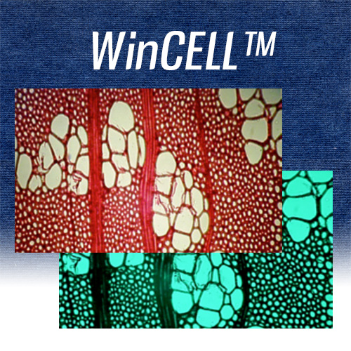 WinCELL (for wood cells analysis)