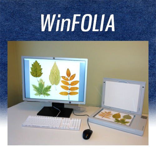 WinFOLIA (for broad leaf measurement)