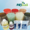 Liver-Veal Egg Yolk Agar (MFDS) / MB-L0609K-P50